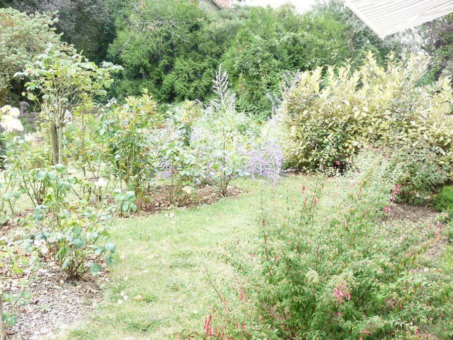 Clos Fleuri : Amboise Home With Amazing Gardens Zewnętrze zdjęcie